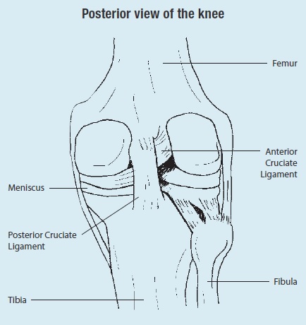 Meniscus-Injury
